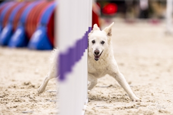 2022-07-09 Agility 042 kopie