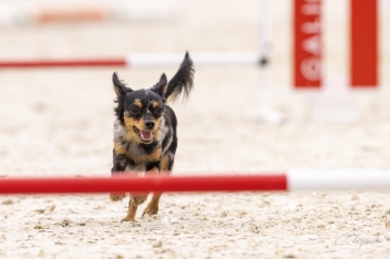 2022-07-09 Agility 064 kopie
