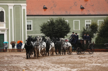 2019-10-05 Kladruby - oslavy zápisu na seznam UNESCO